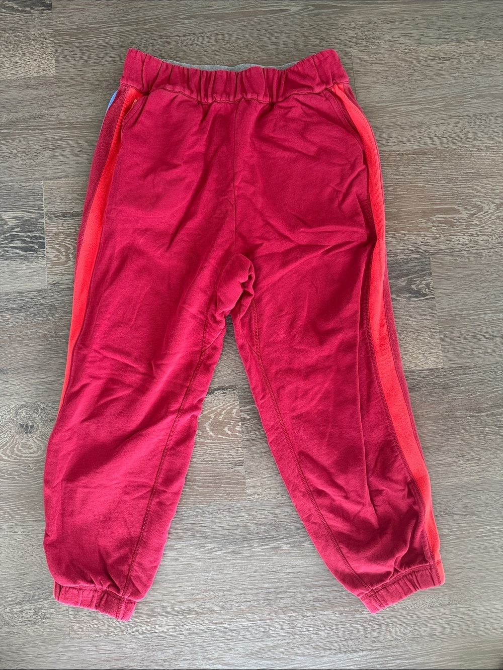 LNDR Jogger Pants with Side Stripe